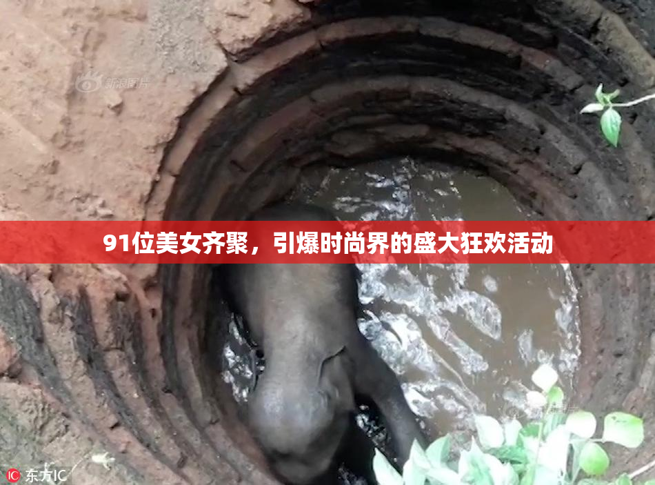 91位美女齐聚，引爆时尚界的盛大狂欢活动
