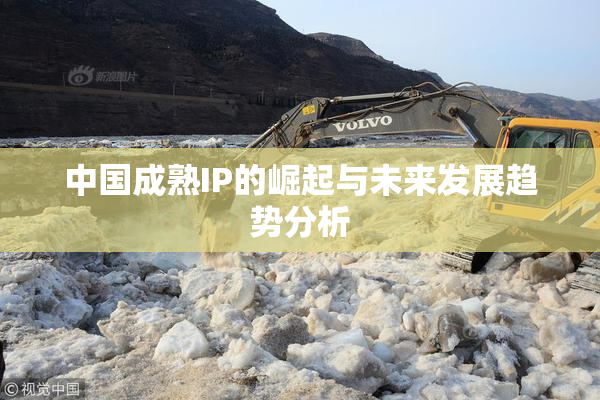中国成熟IP的崛起与未来发展趋势分析