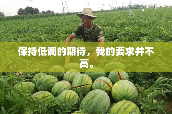 保持低调的期待，我的要求并不高。