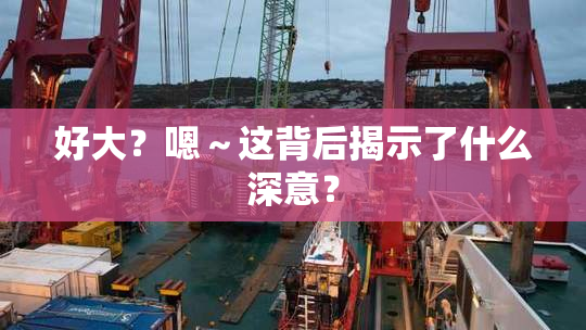 好大？嗯～这背后揭示了什么深意？