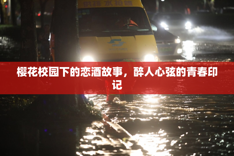 樱花校园下的恋酒故事，醉人心弦的青春印记