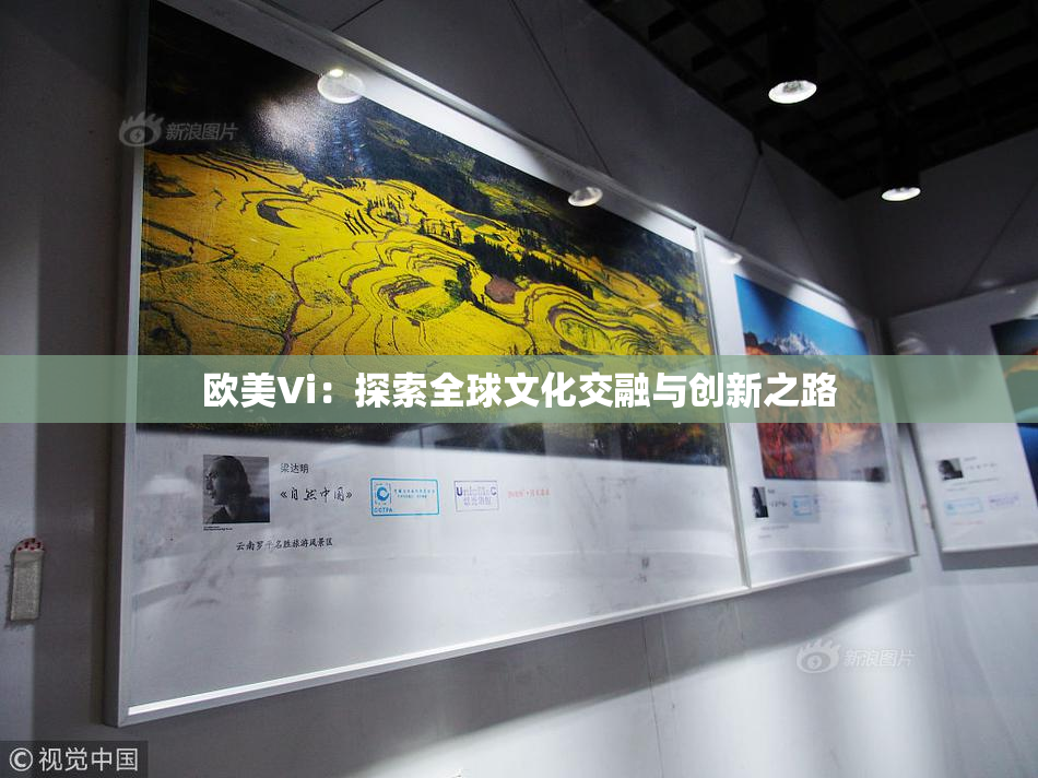 欧美Vi：探索全球文化交融与创新之路