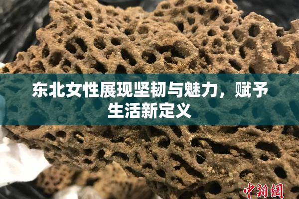 东北女性展现坚韧与魅力，赋予生活新定义