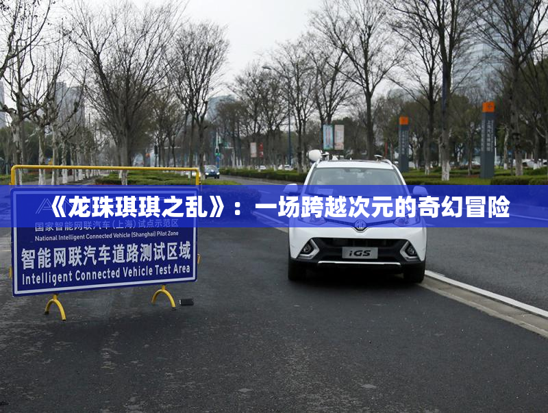 《龙珠琪琪之乱》：一场跨越次元的奇幻冒险