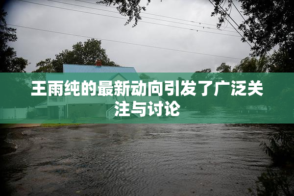 王雨纯的最新动向引发了广泛关注与讨论