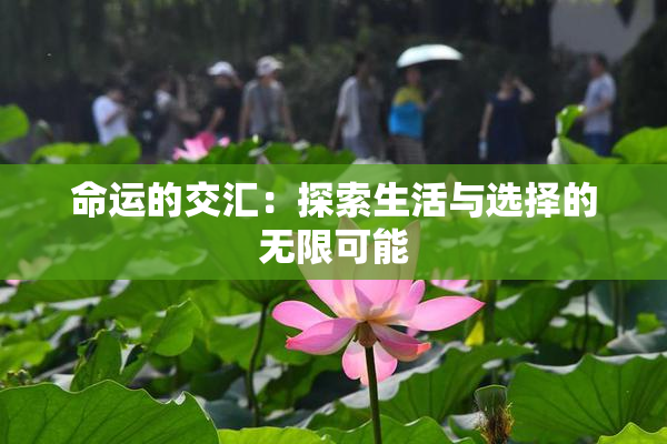 命运的交汇：探索生活与选择的无限可能