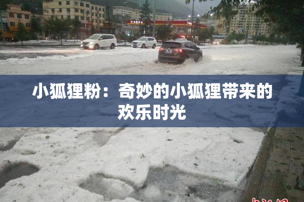 小狐狸粉：奇妙的小狐狸带来的欢乐时光