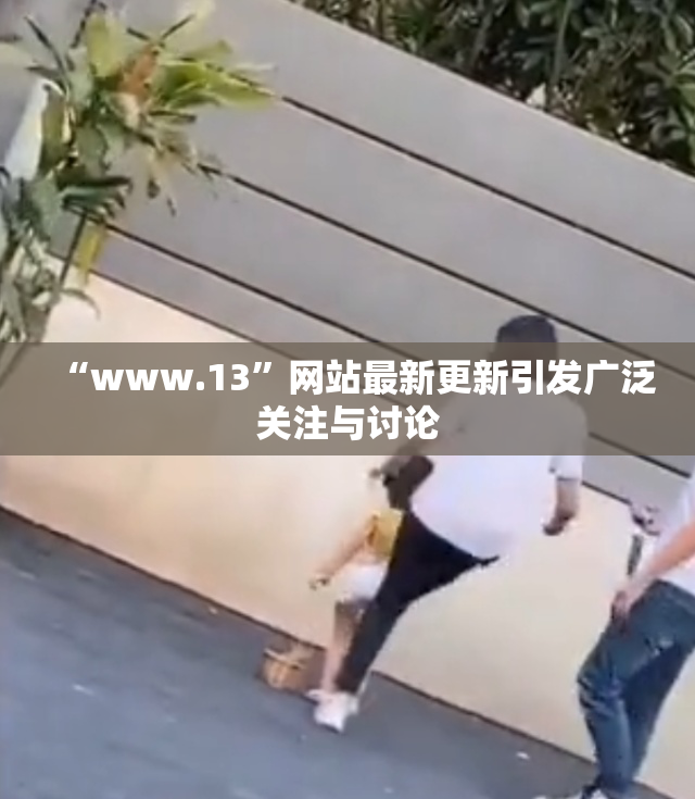 “www.13”网站最新更新引发广泛关注与讨论