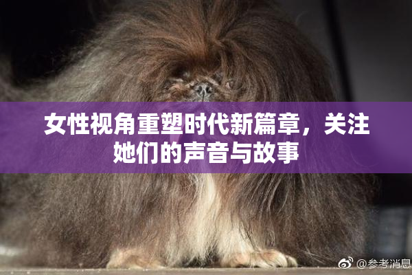 女性视角重塑时代新篇章，关注她们的声音与故事