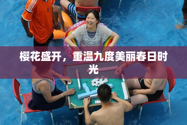 樱花盛开，重温九度美丽春日时光