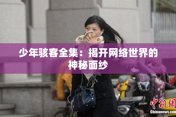 少年骇客全集：揭开网络世界的神秘面纱
