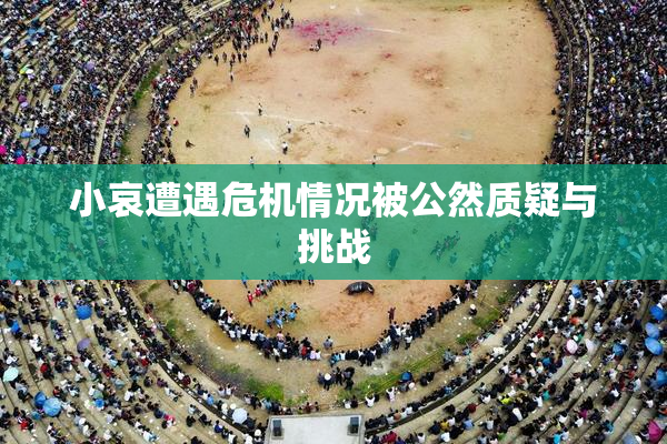 小哀遭遇危机情况被公然质疑与挑战