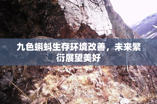 九色蝌蚪生存环境改善，未来繁衍展望美好