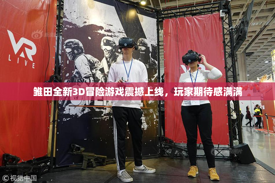 雏田全新3D冒险游戏震撼上线，玩家期待感满满