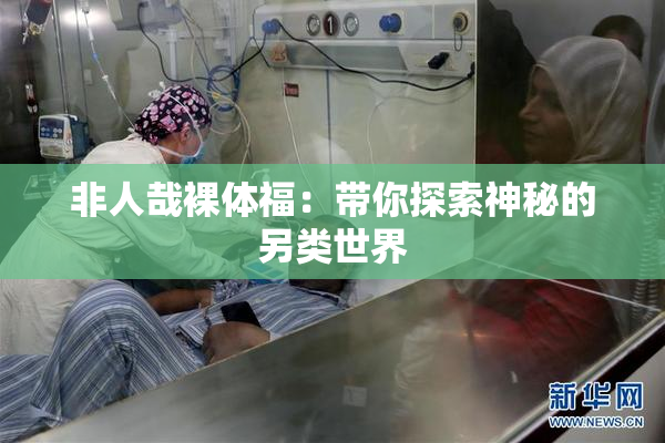 非人哉裸体福：带你探索神秘的另类世界
