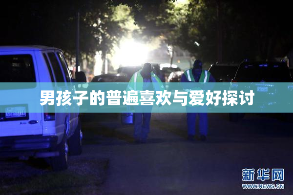 男孩子的普遍喜欢与爱好探讨
