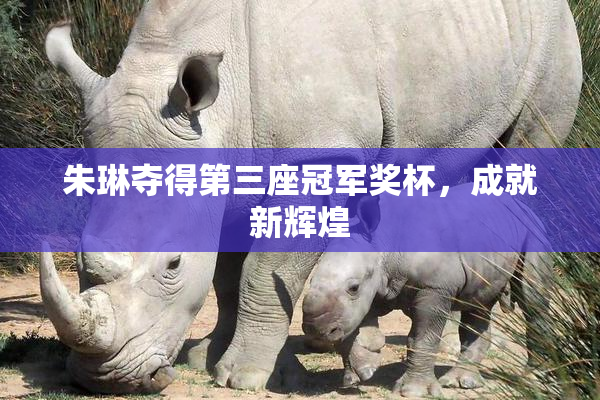 朱琳夺得第三座冠军奖杯，成就新辉煌