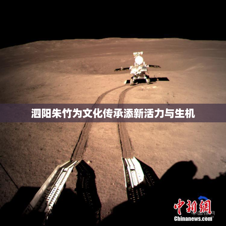 泗阳朱竹为文化传承添新活力与生机