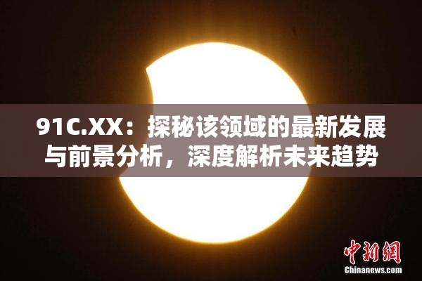 91C.XX：探秘该领域的最新发展与前景分析，深度解析未来趋势！
