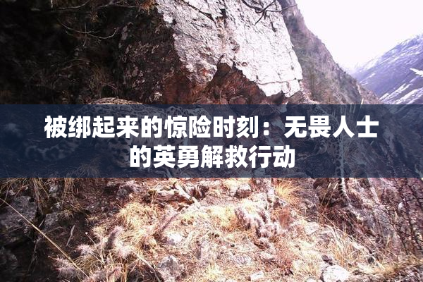 被绑起来的惊险时刻：无畏人士的英勇解救行动