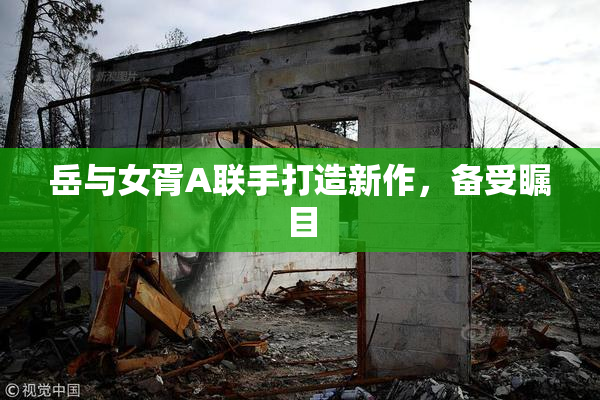 岳与女胥A联手打造新作，备受瞩目