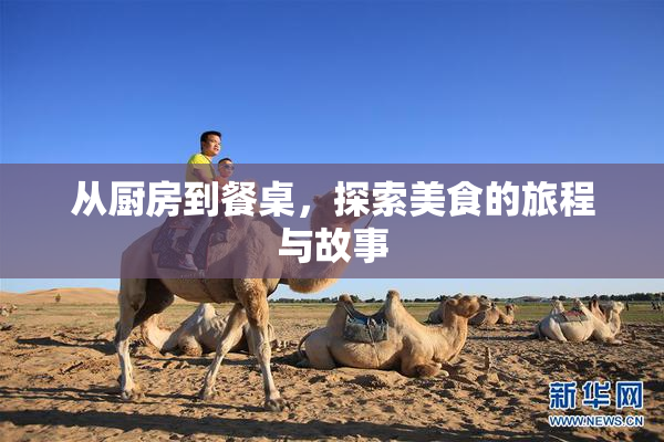 从厨房到餐桌，探索美食的旅程与故事