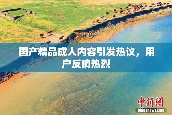 国产精品成人内容引发热议，用户反响热烈