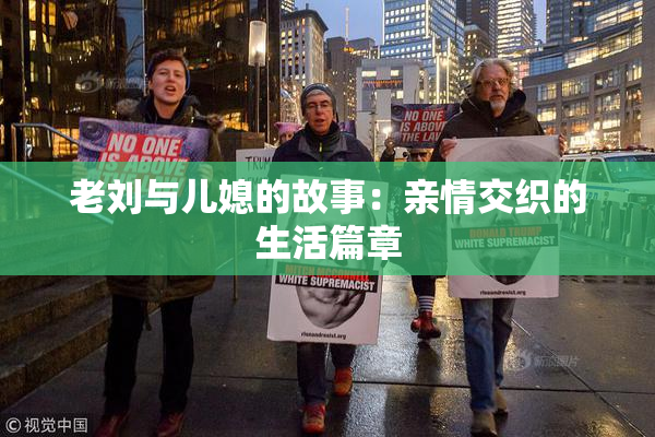 老刘与儿媳的故事：亲情交织的生活篇章