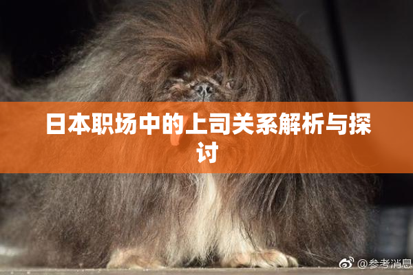 日本职场中的上司关系解析与探讨