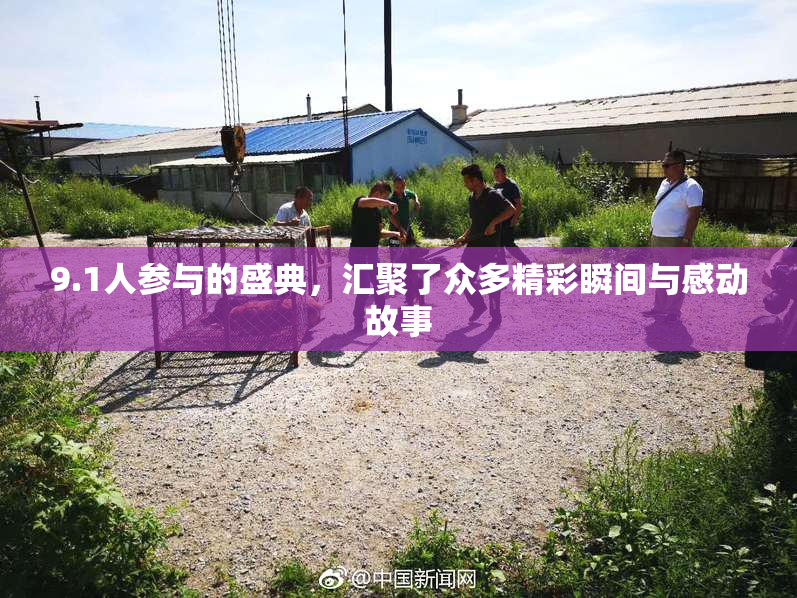 9.1人参与的盛典，汇聚了众多精彩瞬间与感动故事