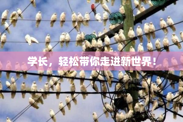 学长，轻松带你走进新世界！