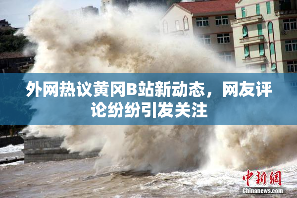 外网热议黄冈B站新动态，网友评论纷纷引发关注