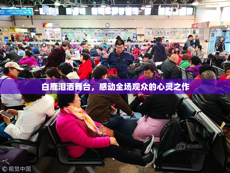 白鹿泪洒舞台，感动全场观众的心灵之作