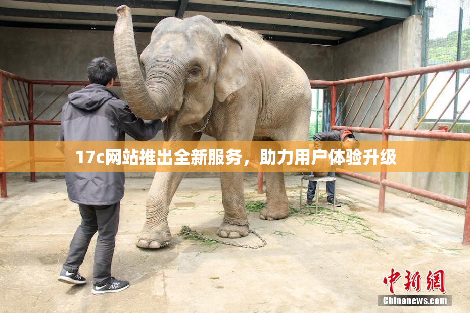 17c网站推出全新服务，助力用户体验升级