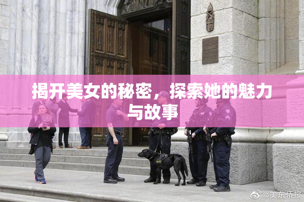 揭开美女的秘密，探索她的魅力与故事