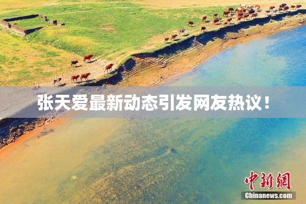 张天爱最新动态引发网友热议！
