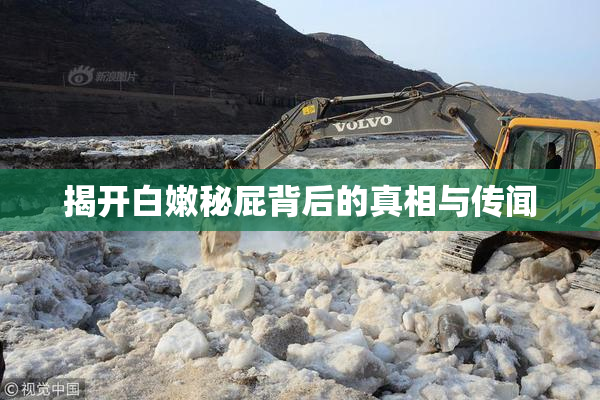 揭开白嫩秘屁背后的真相与传闻