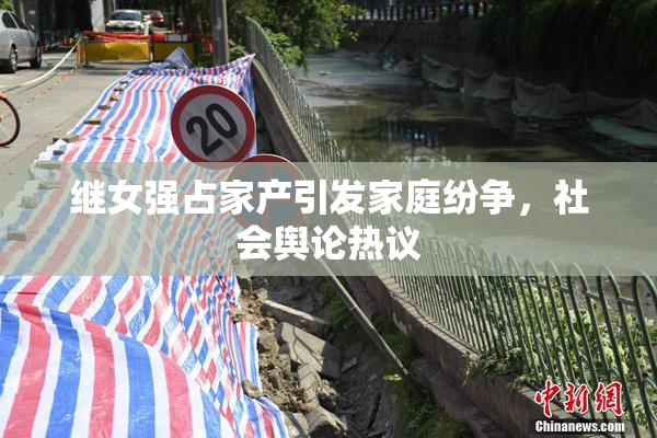 继女强占家产引发家庭纷争，社会舆论热议
