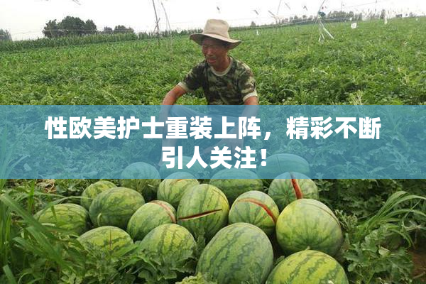 性欧美护士重装上阵，精彩不断引人关注！