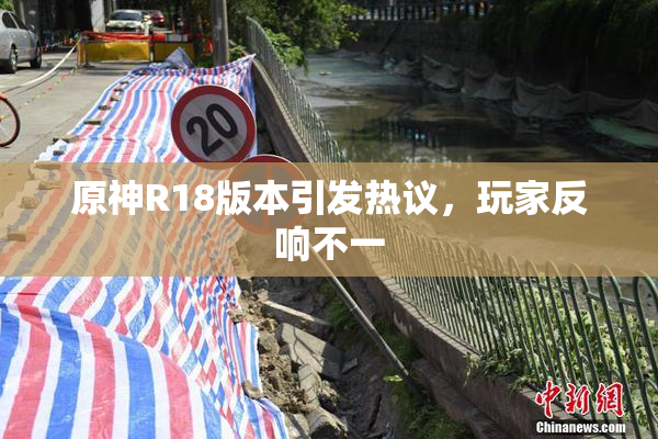 原神R18版本引发热议，玩家反响不一