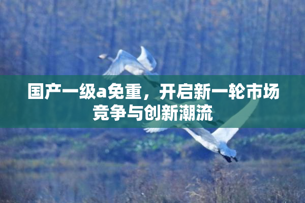 国产一级a免重，开启新一轮市场竞争与创新潮流