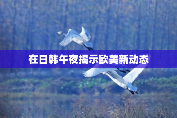 在日韩午夜揭示欧美新动态