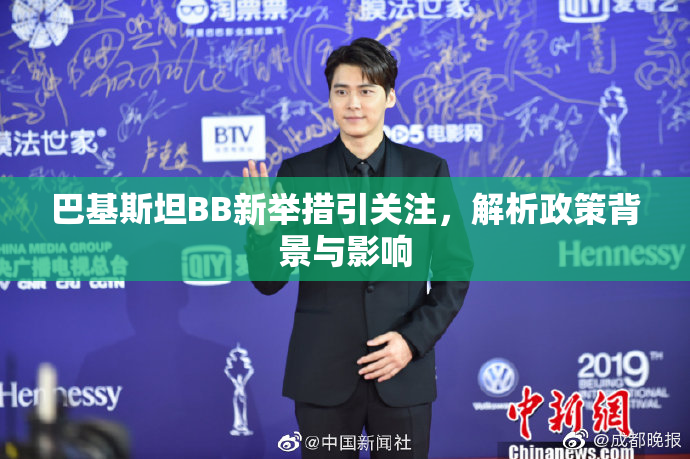 巴基斯坦BB新举措引关注，解析政策背景与影响