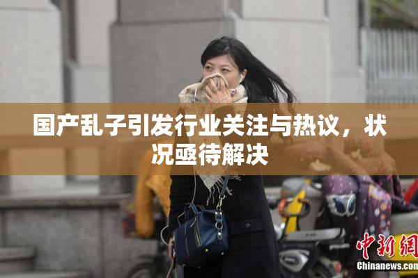 国产乱子引发行业关注与热议，状况亟待解决