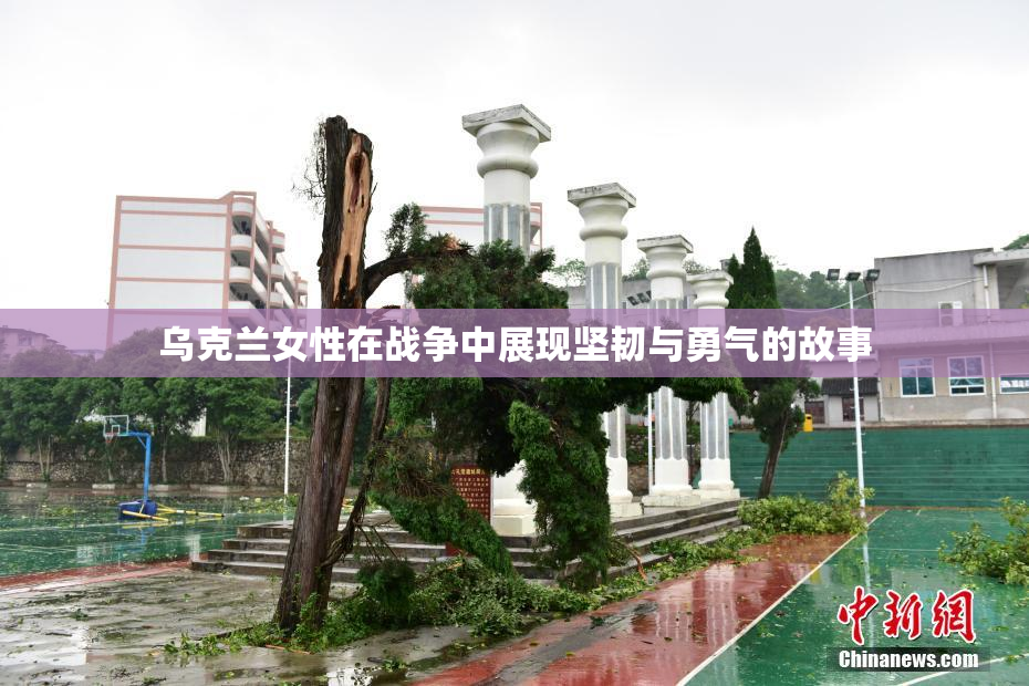 乌克兰女性在战争中展现坚韧与勇气的故事