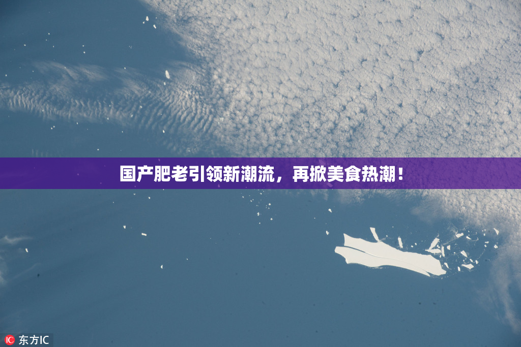 国产肥老引领新潮流，再掀美食热潮！