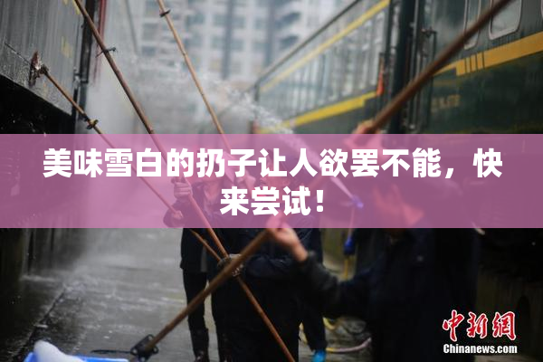 美味雪白的扔子让人欲罢不能，快来尝试！