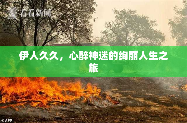 伊人久久，心醉神迷的绚丽人生之旅