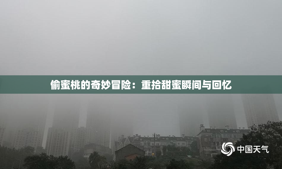 偷蜜桃的奇妙冒险：重拾甜蜜瞬间与回忆