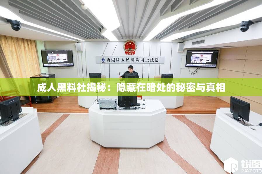 成人黑料社揭秘：隐藏在暗处的秘密与真相